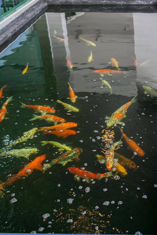 ตะวันอพาร์ทเม้นท์โฮเทลthawanapartmenthotel Satun Dış mekan fotoğraf